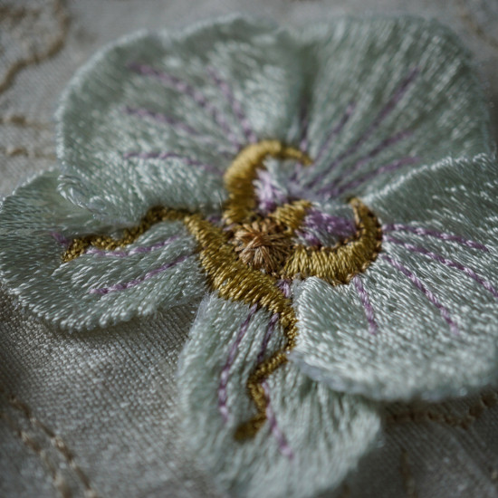 Orchids for Ruth 1