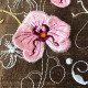 Orchids for Ruth 2