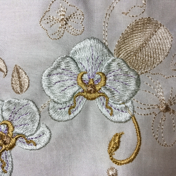 The Orchids for Ruth Collection
