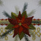 The Poinsettia Promises Collection