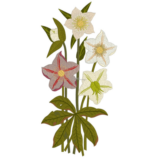 Botanical machine embroidery: hellebores, green leaves, red berries