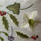 Winter Jewels 4 