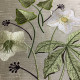 hellebore botanical embroidery designs