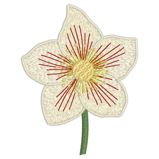 Botanical machine embroidery: hellebores, green leaves, red berries  
