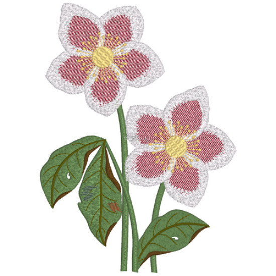 Botanical machine embroidery: hellebores, green leaves, red berrie