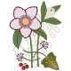 GFE-WJW-2-12