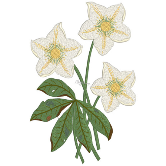 Botanical machine embroidery: hellebores, green leaves, red berries