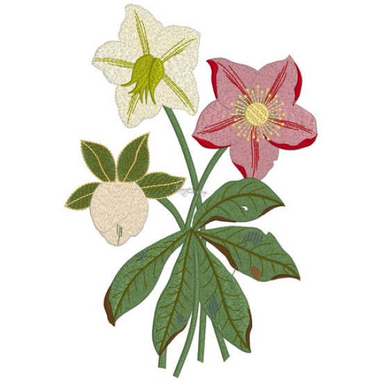 Botanical machine embroidery: hellebores, green leaves, red berries