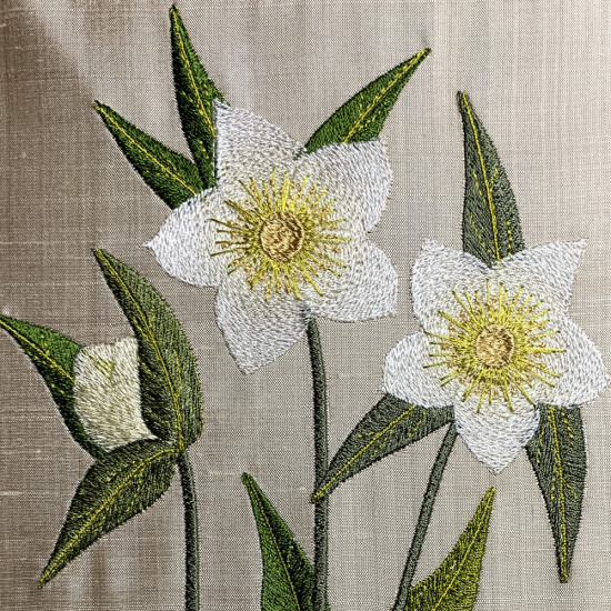 Botanical machine embroidery: hellebores, green leaves, red berries