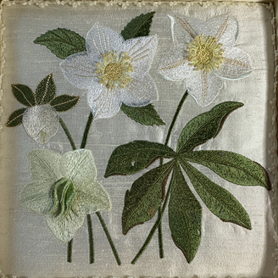 Botanical machine embroidery: hellebores, green leaves, red berries
