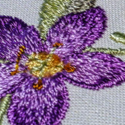 Lavender Skye  