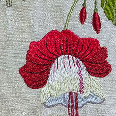 Renaissance Fuchsias 