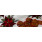 Poinsettia Promises  
