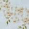 Celtic Grace Florals 4