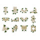 Celtic Ivy 2