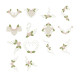 The Days of Grace Collection