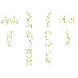 The Dainty Vines Collection