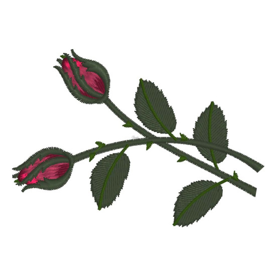 Floribunda's Serenade 1