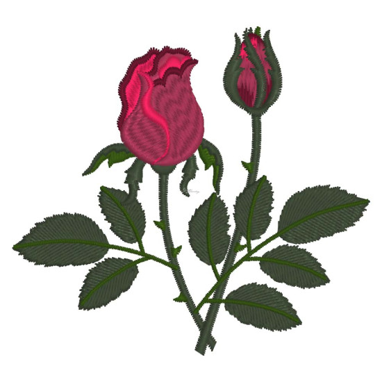 Floribunda's Serenade 1