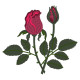 GFE-FBS-1-17