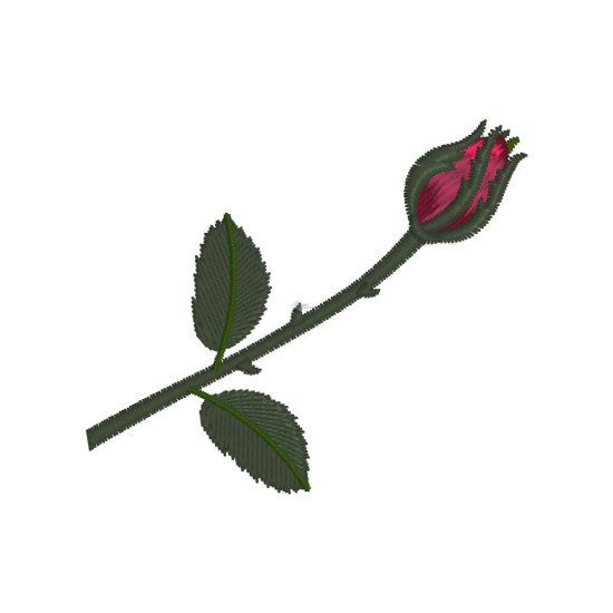 Floribunda's Serenade 1