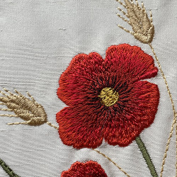 Fields of Poppies 1  