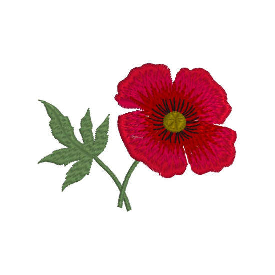 Fields of Poppies 1  