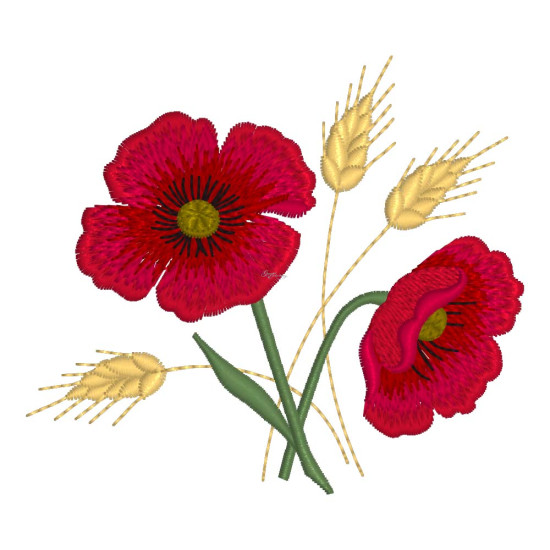 Fields of Poppies 1  