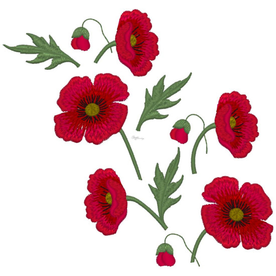 Fields of Poppies 2 