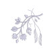 Fleurs Françaises 1 