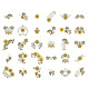 Gloriana Gold 1