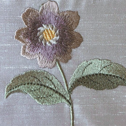 In my Graceful Garden 1