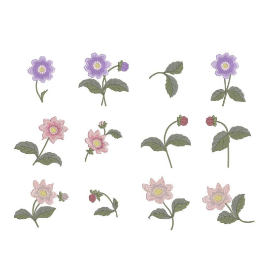 In my Graceful Garden 1