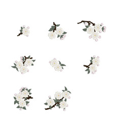Japanese Blossoms 1