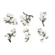 Japanese Blossoms 2