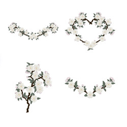 Japanese Blossoms 3