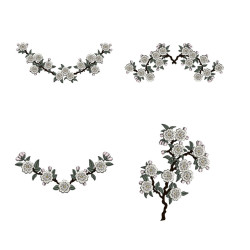 Japanese Blossoms 4