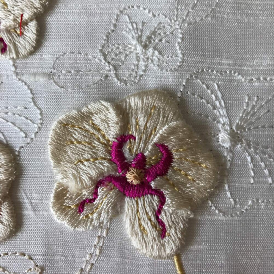 Orchids for Ruth 1