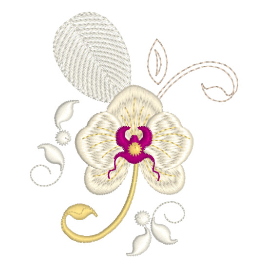 Orchids for Ruth 1