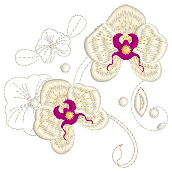 Orchids for Ruth 1