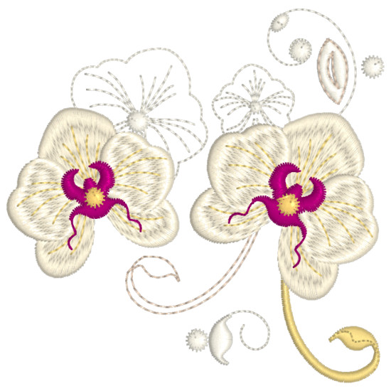 Orchids for Ruth 1