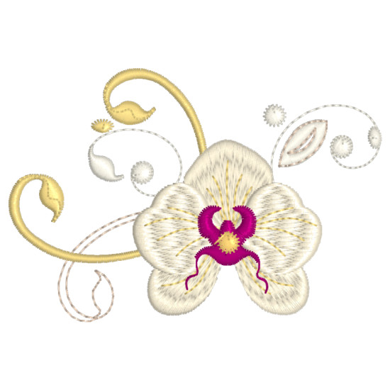 Orchids for Ruth 1