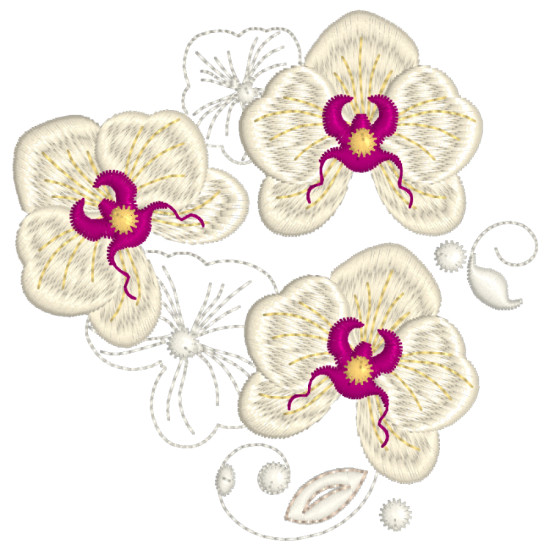 Orchids for Ruth 1