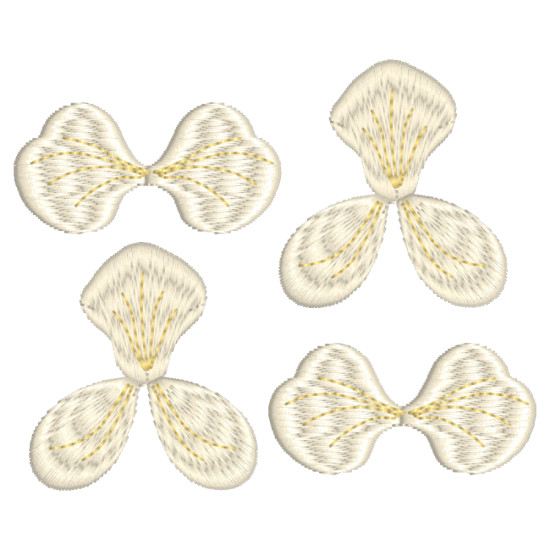 Orchids for Ruth 1