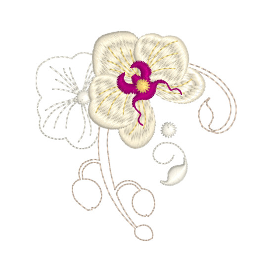 Orchids for Ruth 1