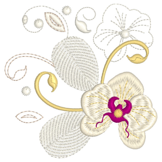 Orchids for Ruth 1