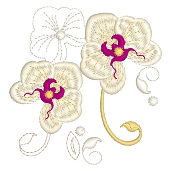 Orchids for Ruth 1