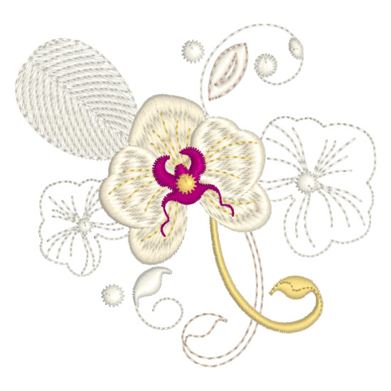 Orchids for Ruth 1