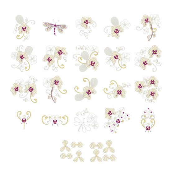 Orchids for Ruth 1