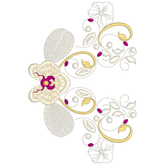 Orchids for Ruth 2